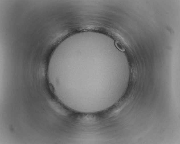 X0000115390546200911241248