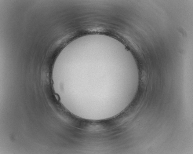 X0000115390547200911241248