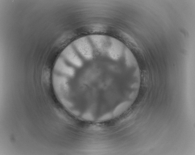 X0000115390550200911241248