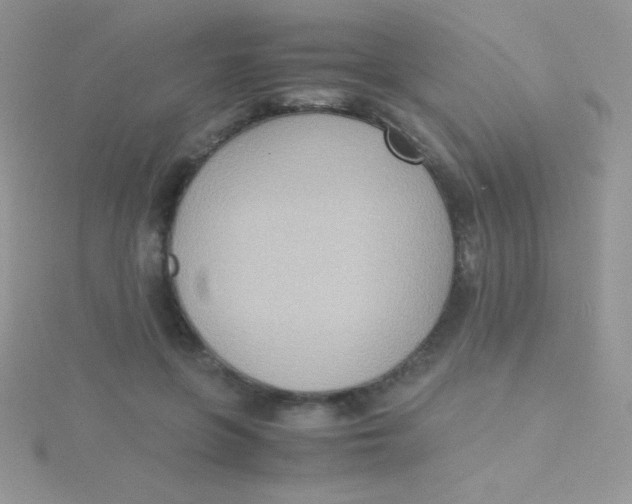 X0000115390551200911241248