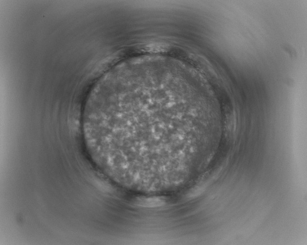 X0000115390553200911241248