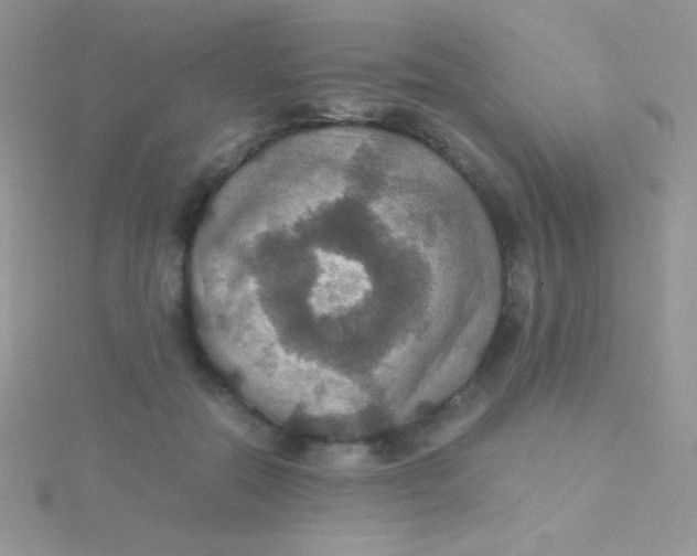 X0000115390554200911241248