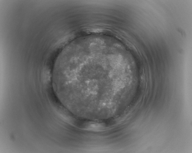 X0000115390555200911241248