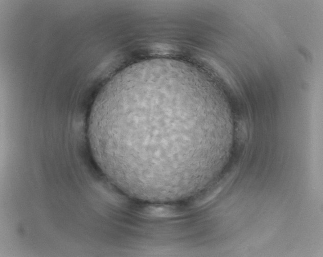 X0000115390557200911241248