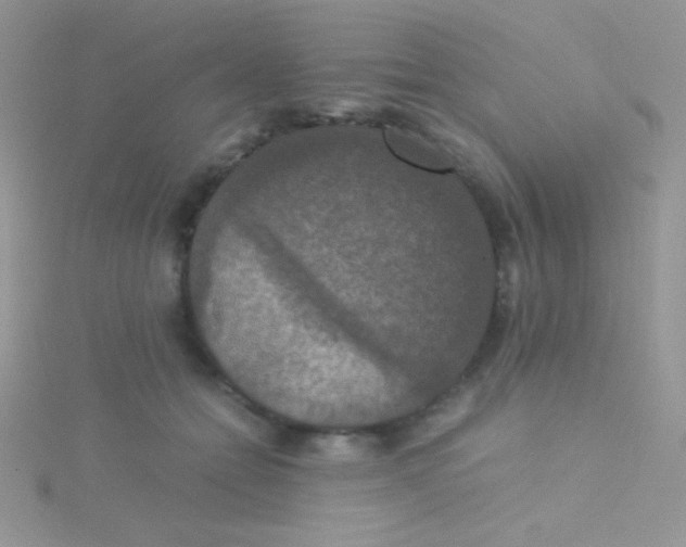 X0000115390558200911241248