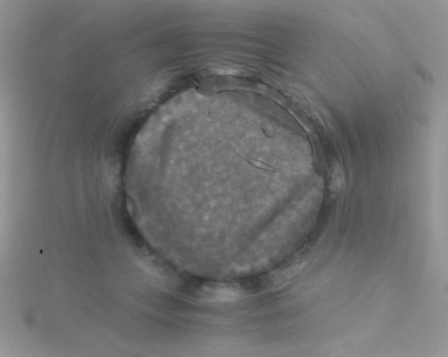 X0000115390559200911241248