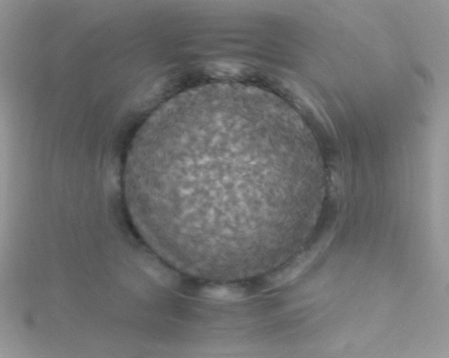 X0000115390561200911241248