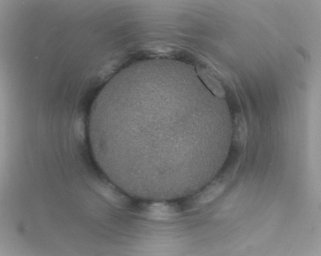 X0000115390562200911241248