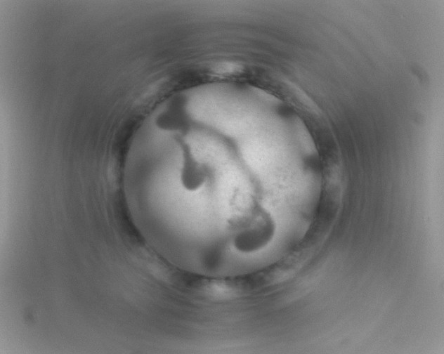 X0000115390565200911241248