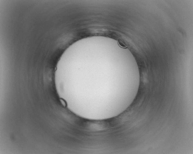 X0000115390567200911241248