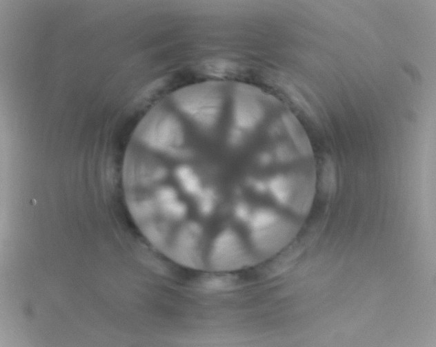 X0000115390569200911241248