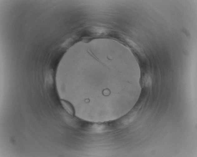 X0000115390570200911241248