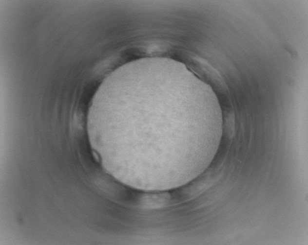 X0000115390571200911241248