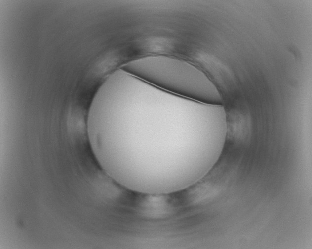 X0000115390573200911241248