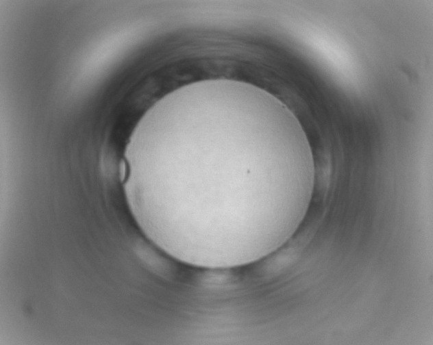 X0000115390574200911241248