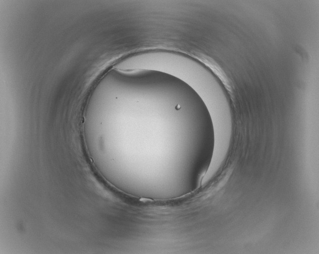 X0000115390577200911241248