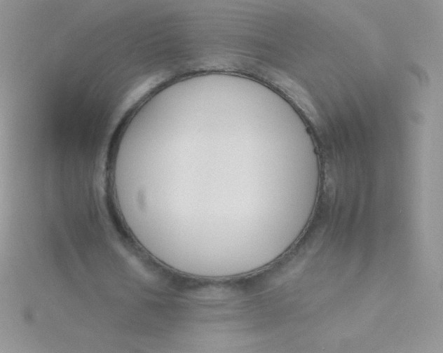 X0000115390578200911241248