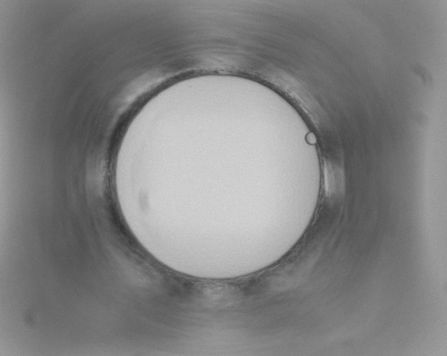 X0000115390579200911241248