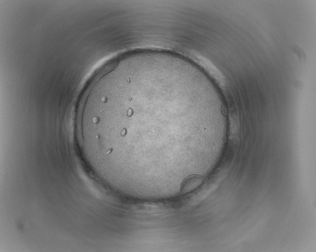 X0000115390580200911241248