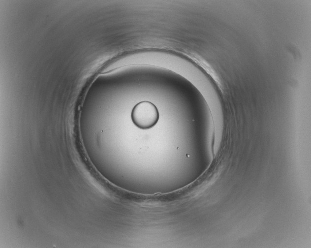 X0000115390581200911241248