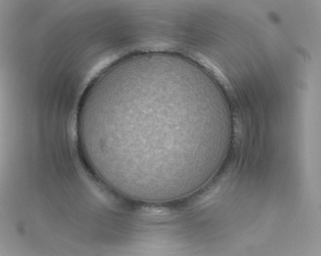 X0000115390582200911241248