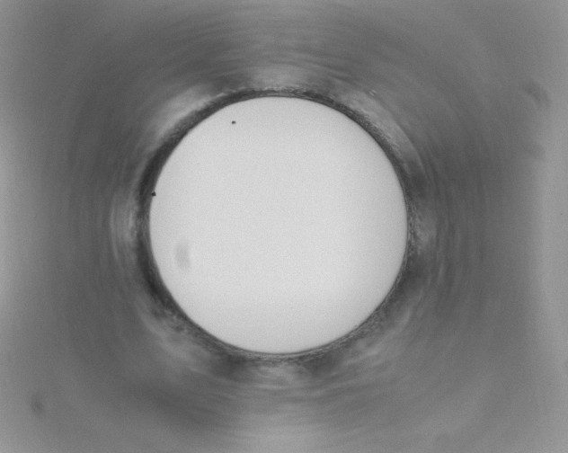 X0000115390583200911241248