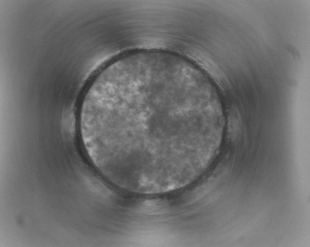 X0000115390584200911241248