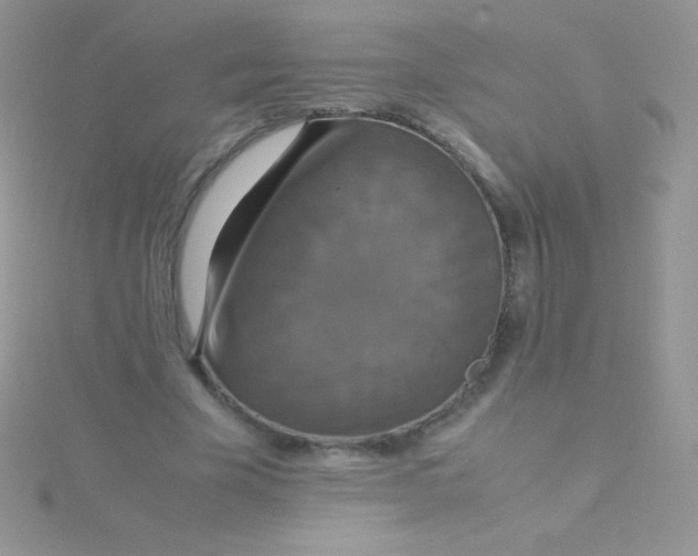 X0000115390585200911241248