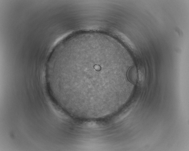 X0000115390588200911241248