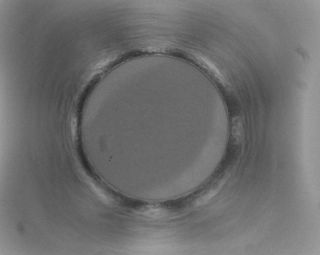 X0000115390589200911241248