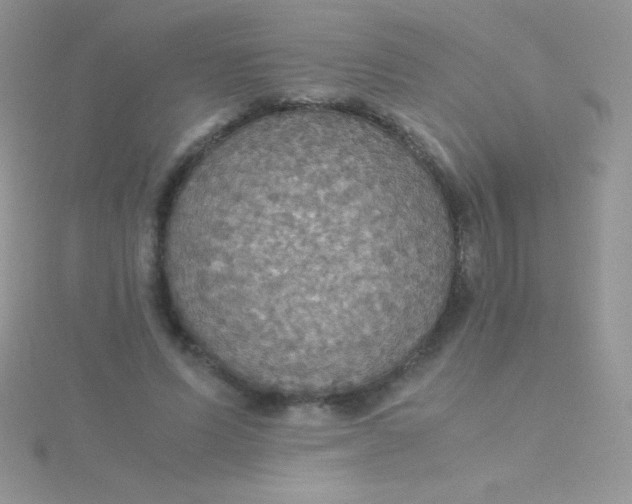 X0000115390591200911241248