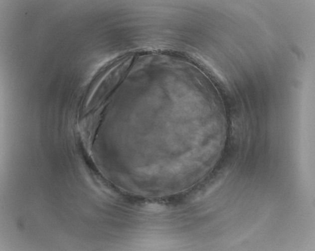 X0000115390592200911241248