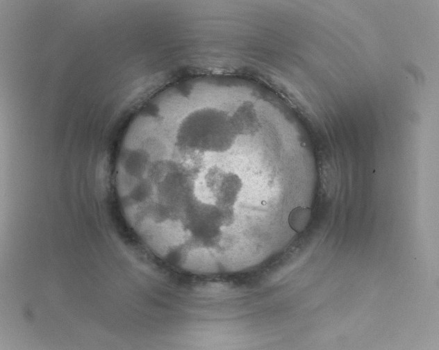 X0000115390594200911241248