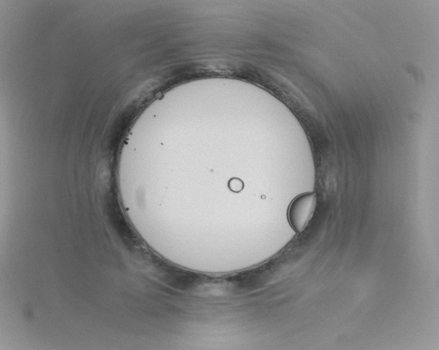 X0000115390595200911241248