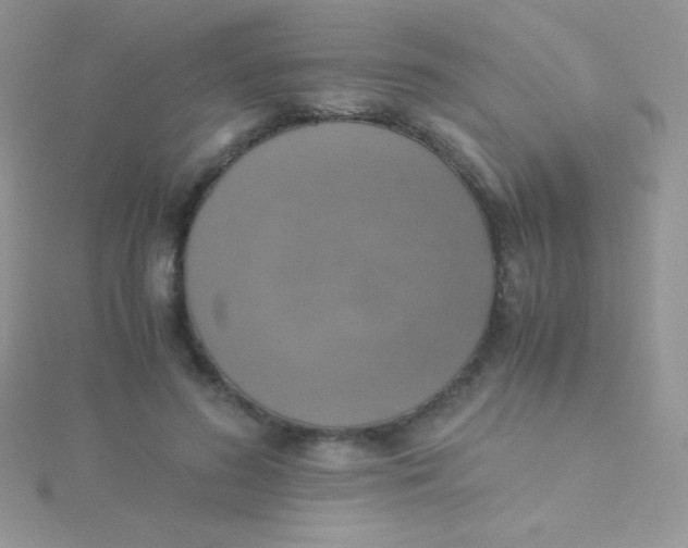 X0000115390596200911241248