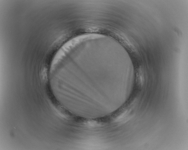 X0000115390598200911241248