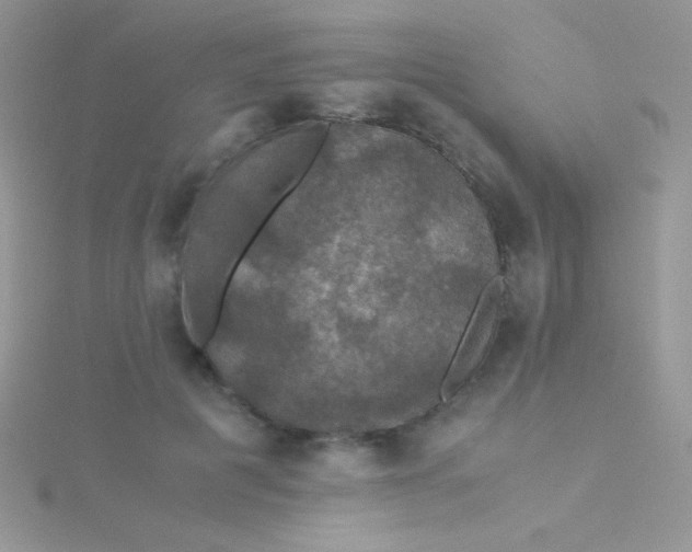 X0000115390601200911241248