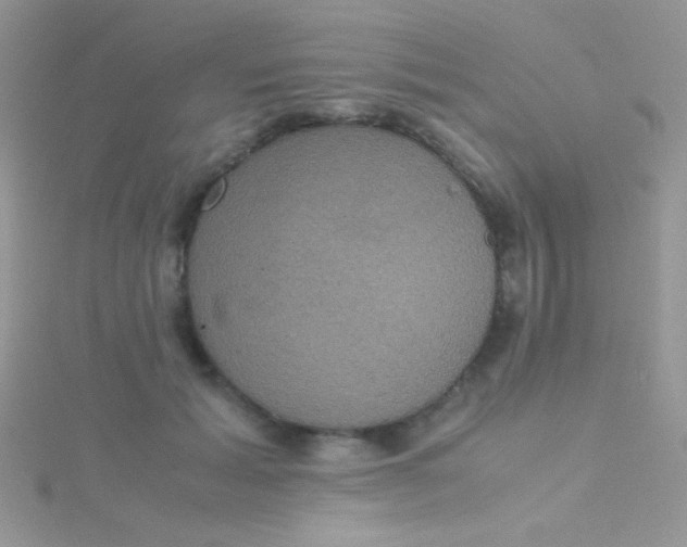 X0000115390605200911241248