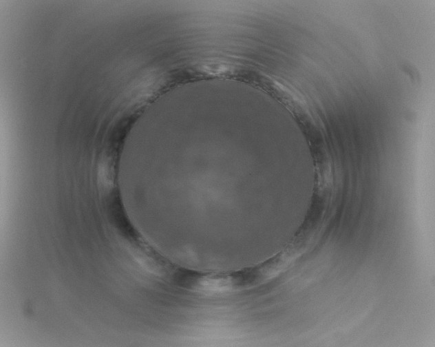 X0000115390606200911241247