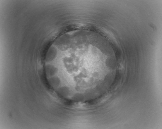 X0000115390607200911241247