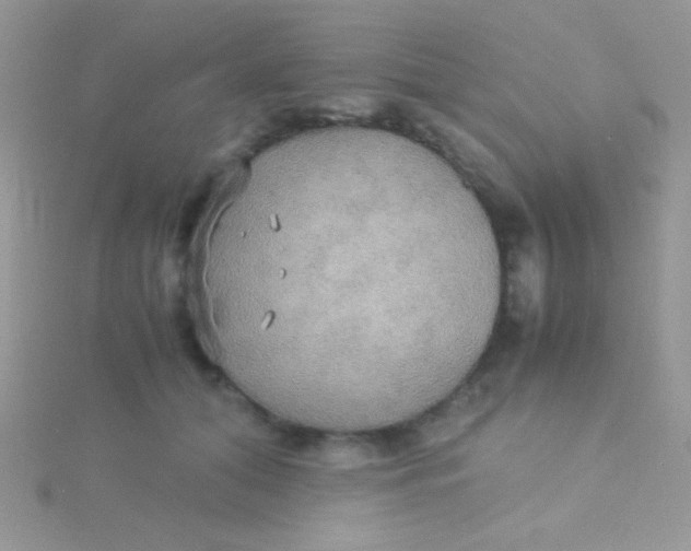 X0000115390608200911241247