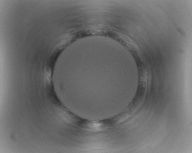 X0000115390610200911241247