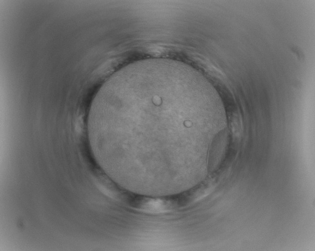 X0000115390611200911241247