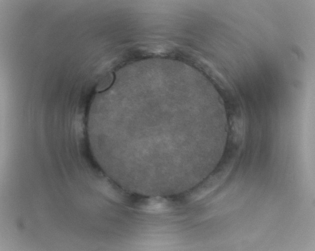 X0000115390612200911241247