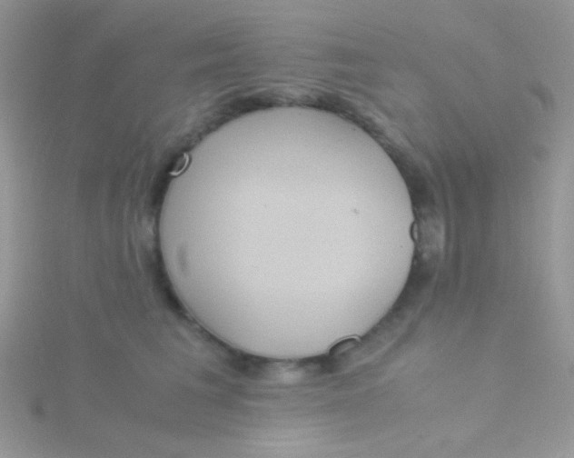 X0000115390613200911241247