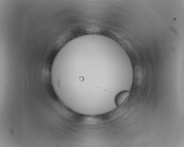 X0000115390614200911241247