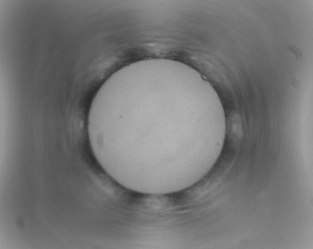 X0000115390615200911241247