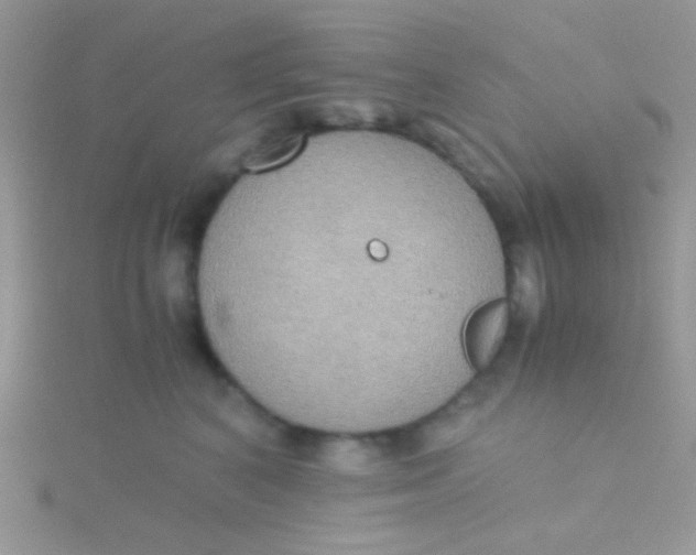 X0000115390616200911241247