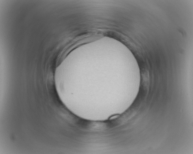 X0000115390617200911241247