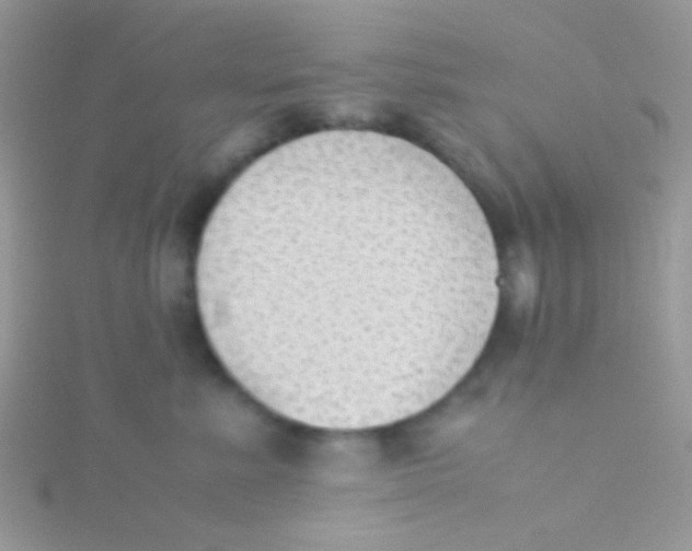 X0000115390619200911241247